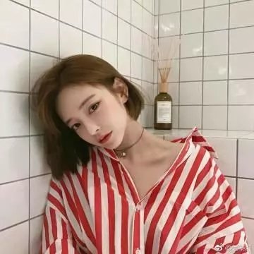 鸭子的天空