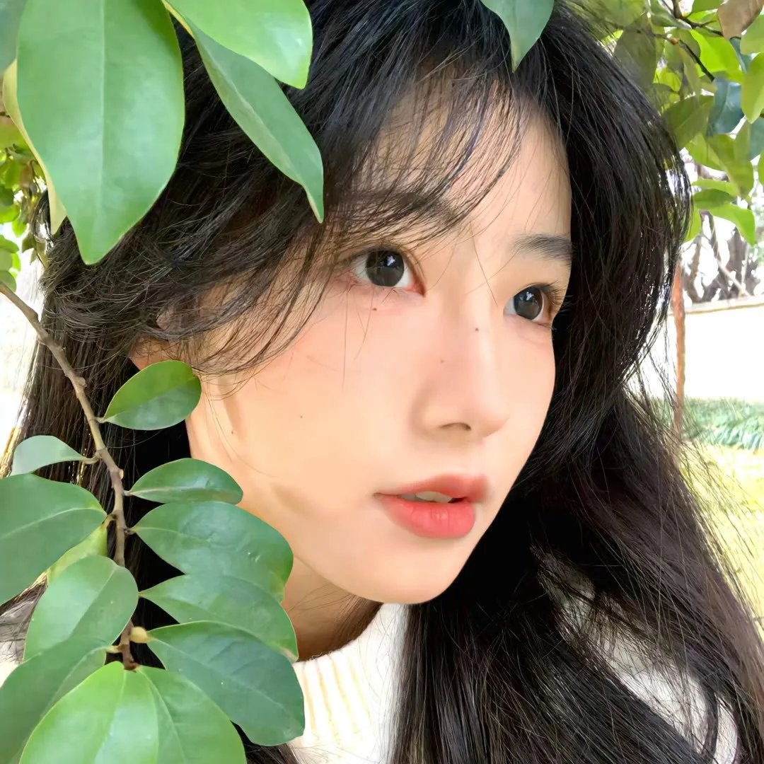 四季如秋
